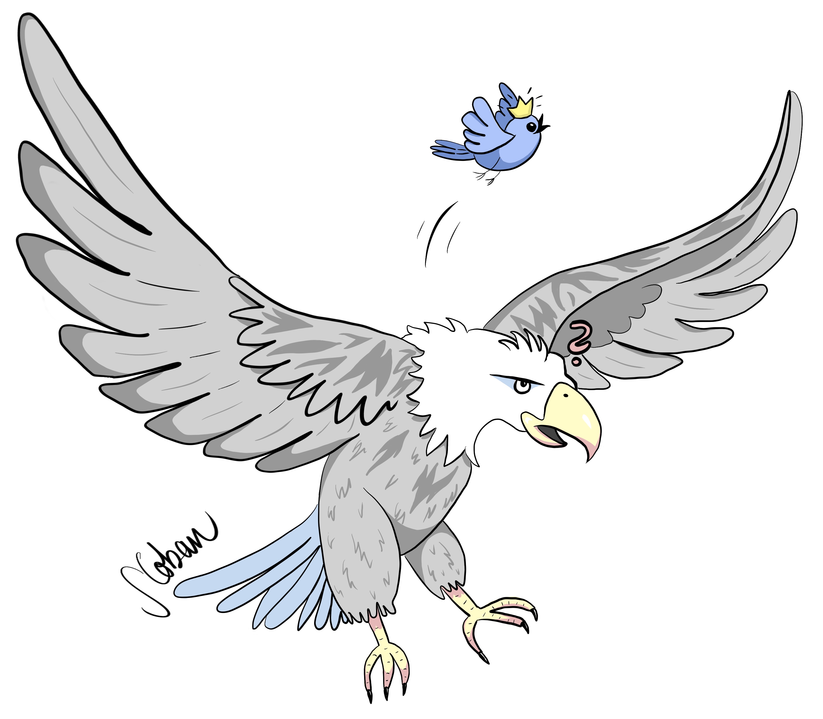 Eagle chasing a small blue bird